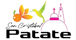 Gobireno Municipal San Cristobal de Patate