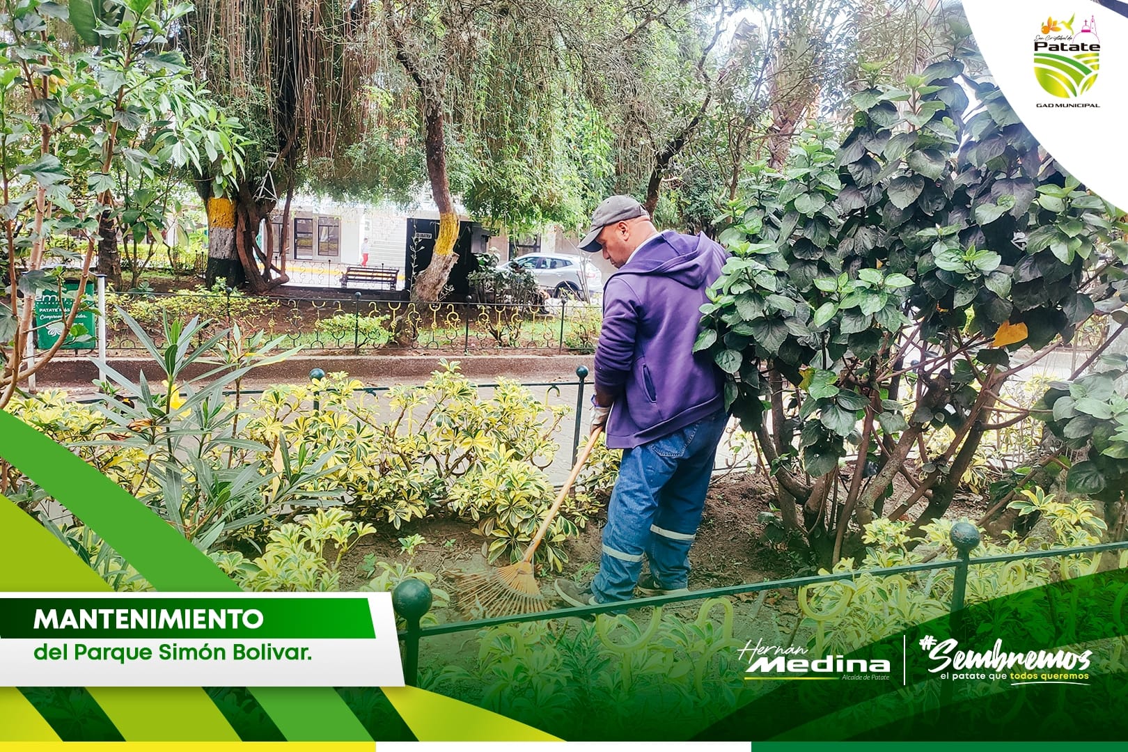 GADPATATE  Trabaja arduamente en el cuidado y mantenimiento de áreas verdes y espacios públicos. 