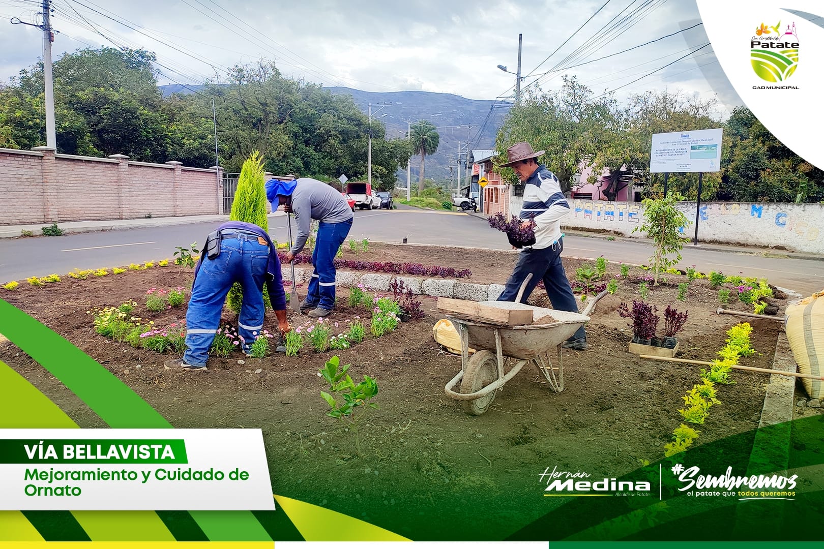 𝗘𝗺𝗯𝗲𝗹𝗹𝗲𝗰𝗶𝗺𝗶𝗲𝗻𝘁𝗼 𝗱𝗲𝗹 𝗿𝗲𝗱𝗼𝗻𝗱𝗲𝗹 𝘃í𝗮 𝗮 𝗕𝗲𝗹𝗹𝗮𝘃𝗶𝘀𝘁𝗮 𝗿𝗲𝗮𝗹𝘇𝗮 𝗹𝗮 𝗶𝗺𝗮𝗴𝗲𝗻 𝗱𝗲 𝗣𝗮𝘁𝗮𝘁𝗲